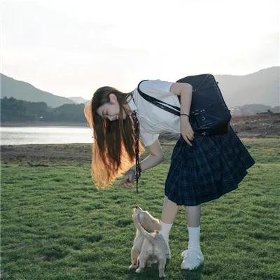 青苔